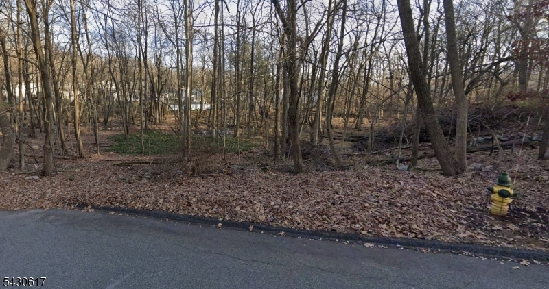 25 Budd Ave, Mount Olive Twp.