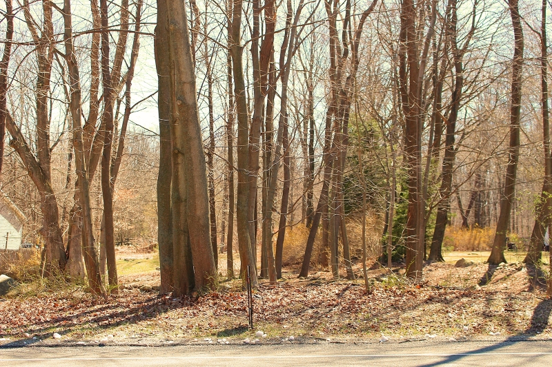 556 Glen Rd, Sparta Twp.