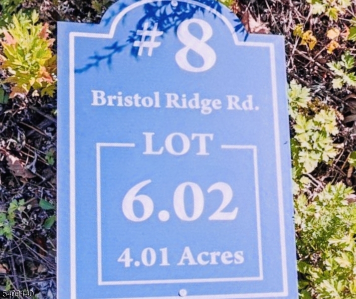 8 Bristol Ridge Rd, Boonton Twp.