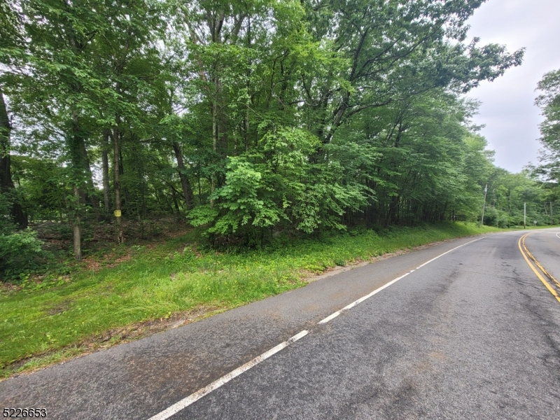 90 Kemah Mecca Lake Rd, Hampton Twp.