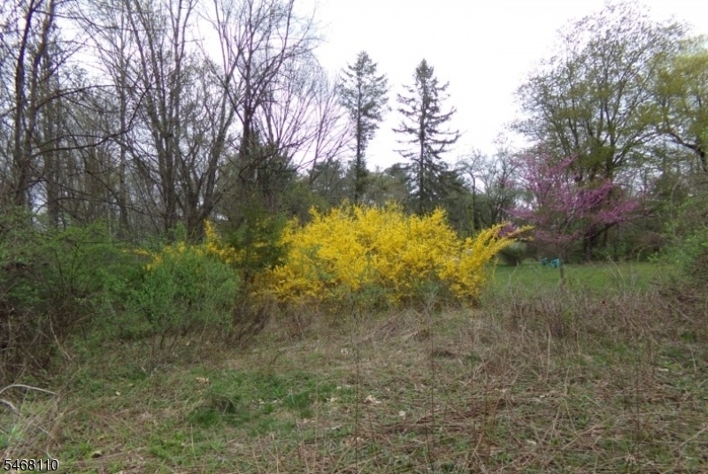 8 Hill Rd, Montague Twp.