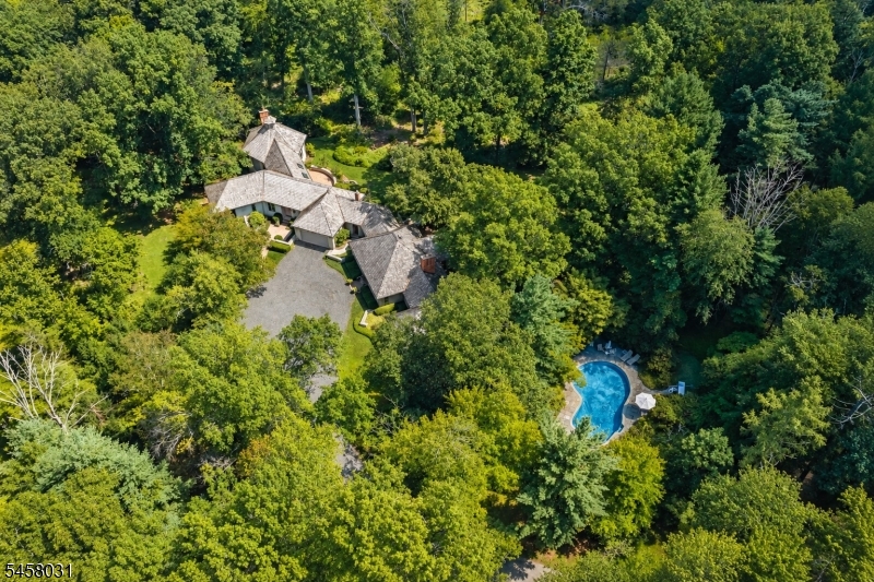 24 Douglass Ave, Bernardsville Boro