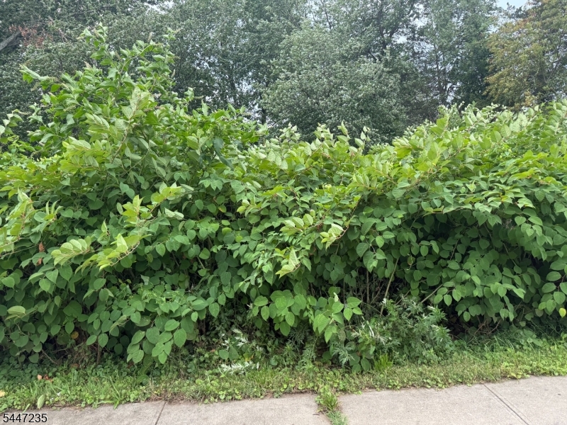 1110 Walnut St — photo 1 of 1