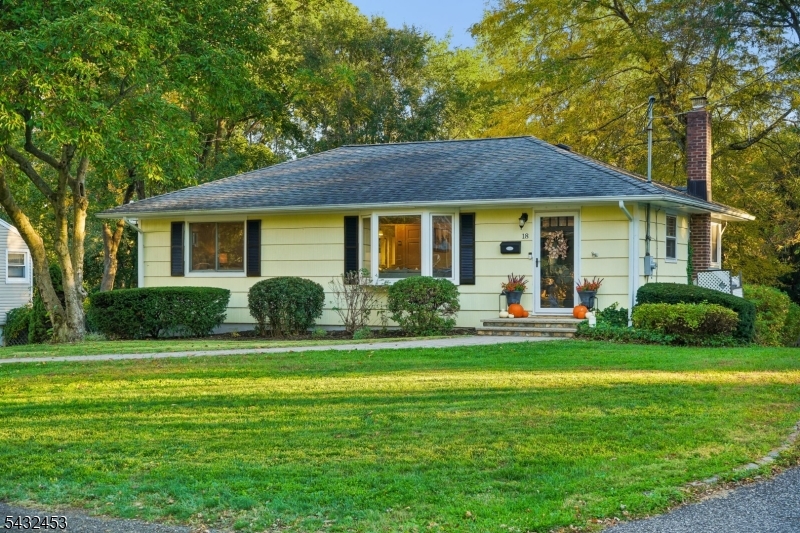 18 Sunnybrook Rd, Bernardsville Boro