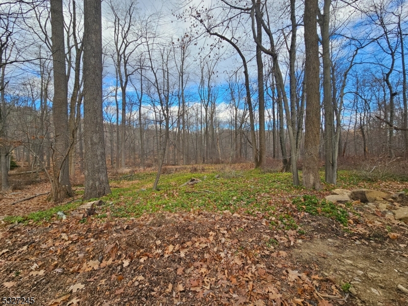 34 Starlight Dr, Morris Twp.