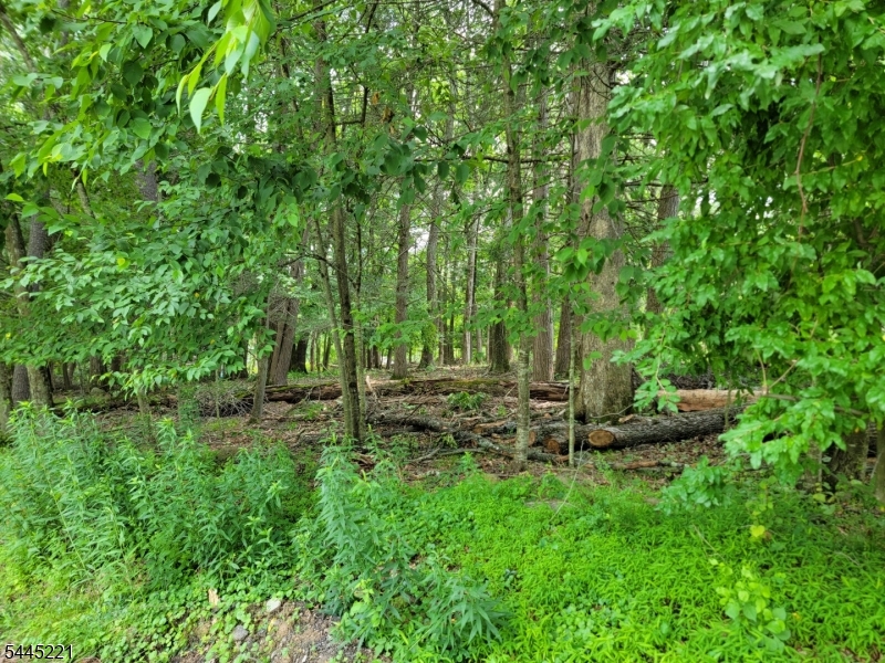 231 Old Chimney Ridge Rd, Montague Twp.