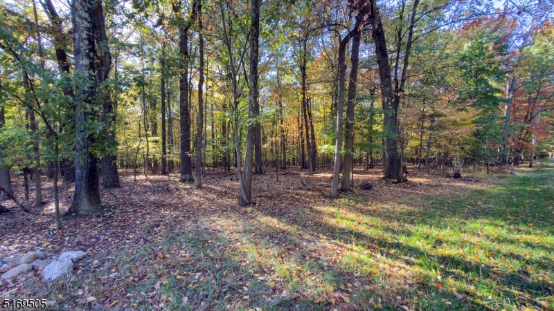 37 Lt Hooper Rd, Alexandria Twp.