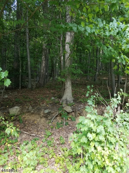 1128 Route 10, Randolph Twp.
