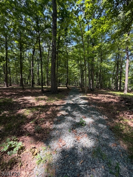 24 Shagbark Ln, Readington Twp.