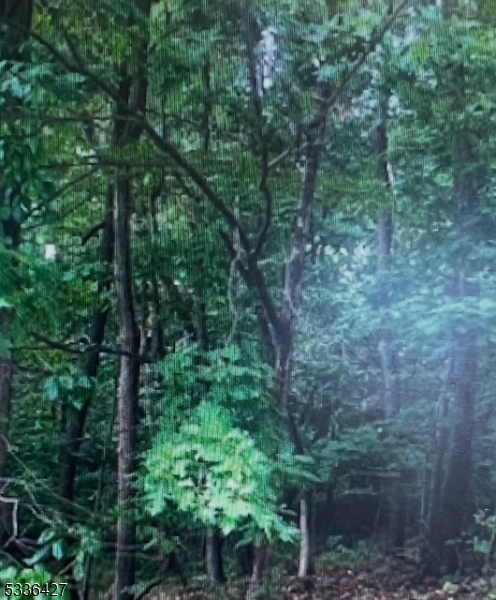 16 Lakeview Dr, Wantage Twp.