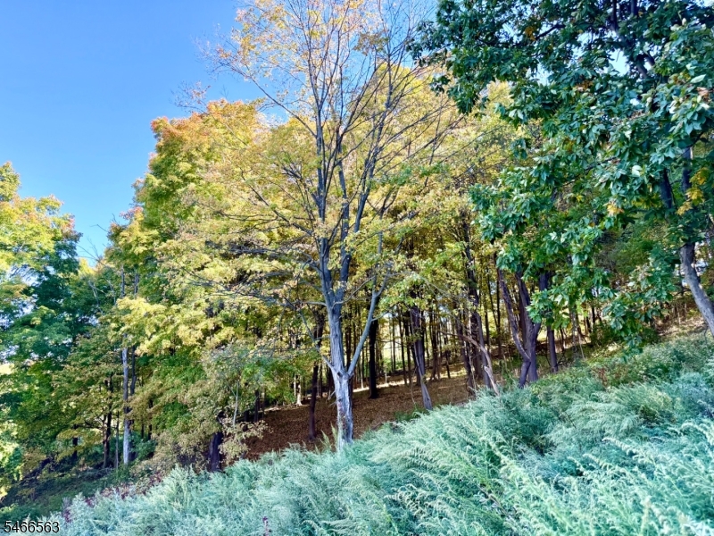 109 Munsonhurst Rd, Franklin Boro