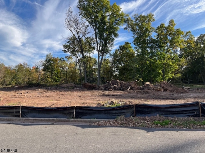 205 Charlotte Ave, South Bound Brook Boro