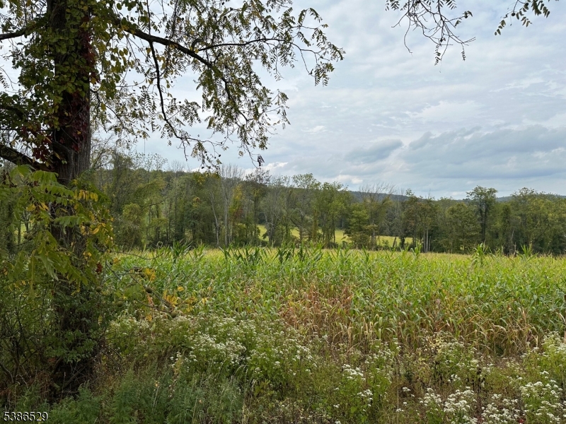 395 Mountain Lake Rd, Liberty Twp.